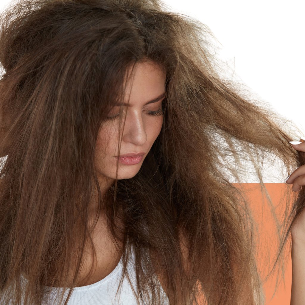 Damaged Hair Care Collection Restore and Revitalise Haircare Superstore