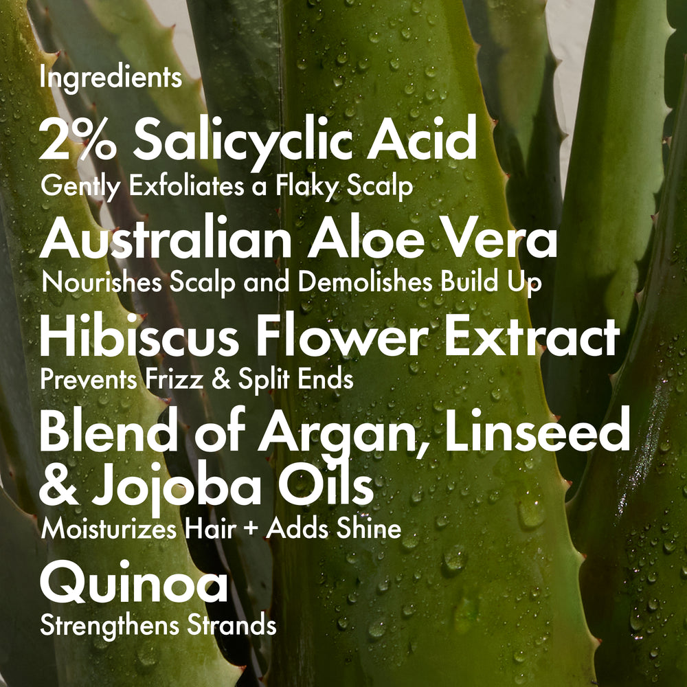 Bondi Boost Dandruff Duo