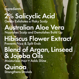 Bondi Boost Dandruff Duo