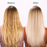 Base Blonde ++ Shampoo