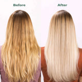 Base Blonde Shampoo