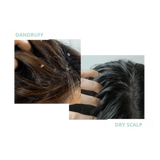 Pump Scalp Tonic Trio