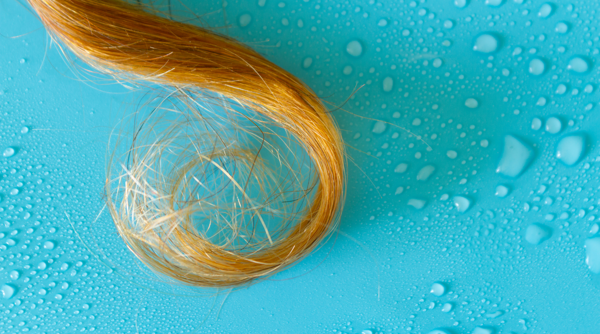 What is hair porosity and why you need to know