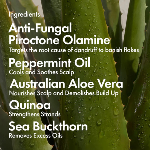 Bondi Boost Dandruff Repair Shampoo