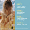 Bondi Boost Procapil Scalp Tonic