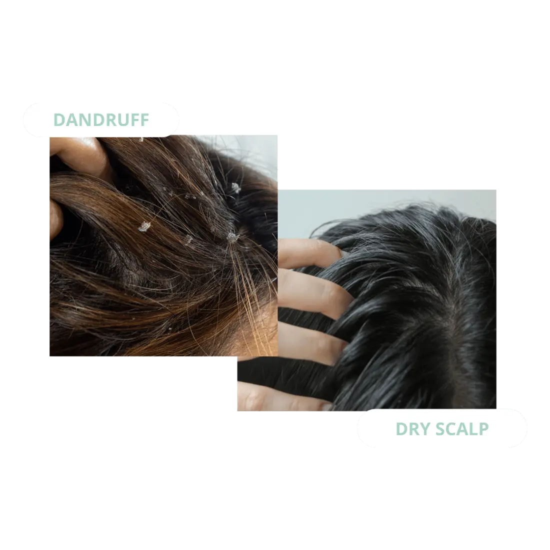 Pump Scalp Tonic