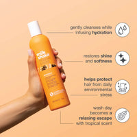 Milk_Shake Moisture & More Quad
